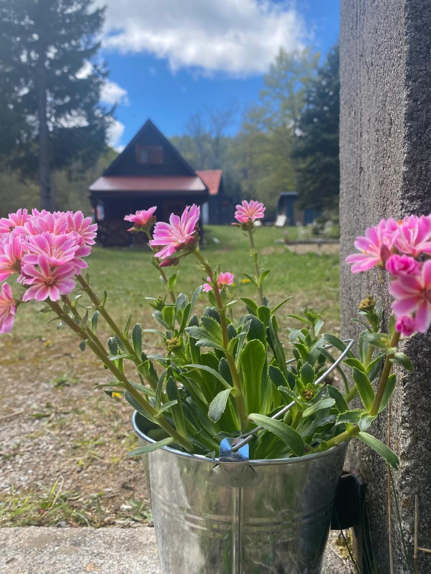 Chalet Puhova Koliba Delnice