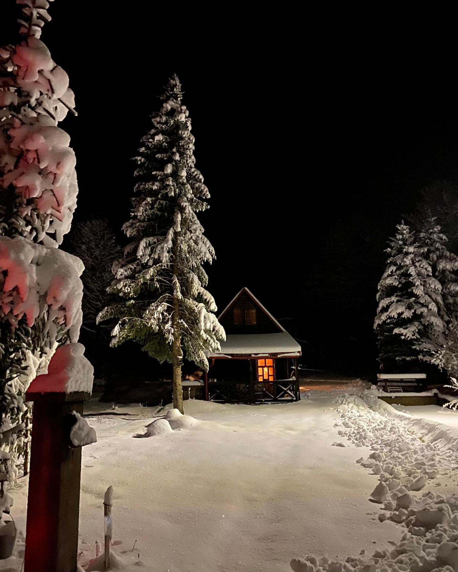 Chalet Puhova Koliba