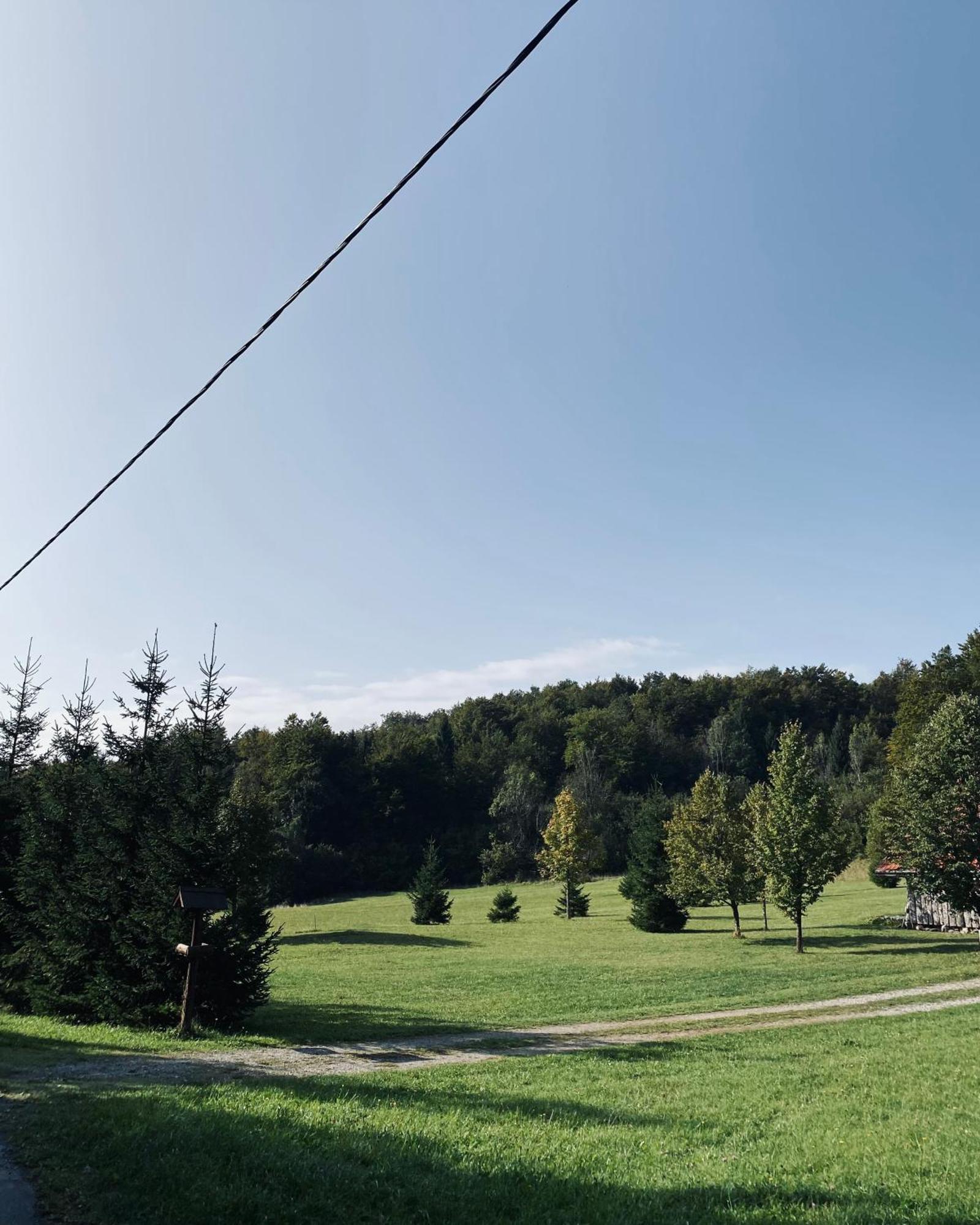 Chalet Puhova Koliba